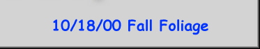 10/18/00 Fall Foliage
