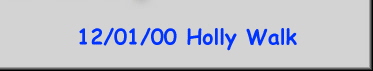 12/01/00 Holly Walk