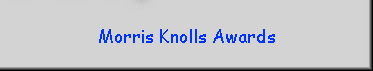 Morris Knolls Awards