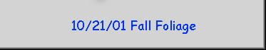 10/21/01 Fall Foliage