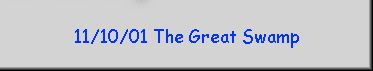 11/10/01 The Great Swamp