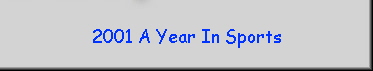 2001 A Year In Sports