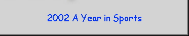 2002 A Year in Sports