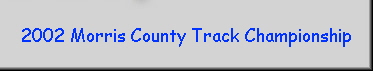 2002 Morris County Track Championship