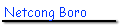 Netcong Boro